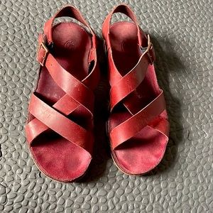 Red Chaco wayfarer